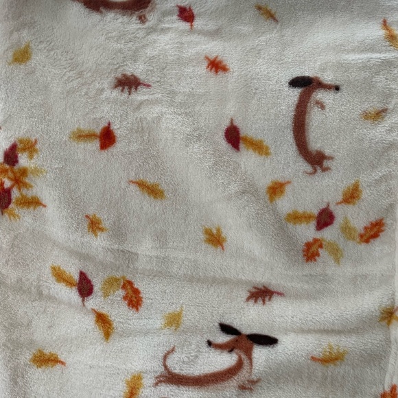 Dachshund throw blanket perfect for fall weather and decor - Picture 4 of 8